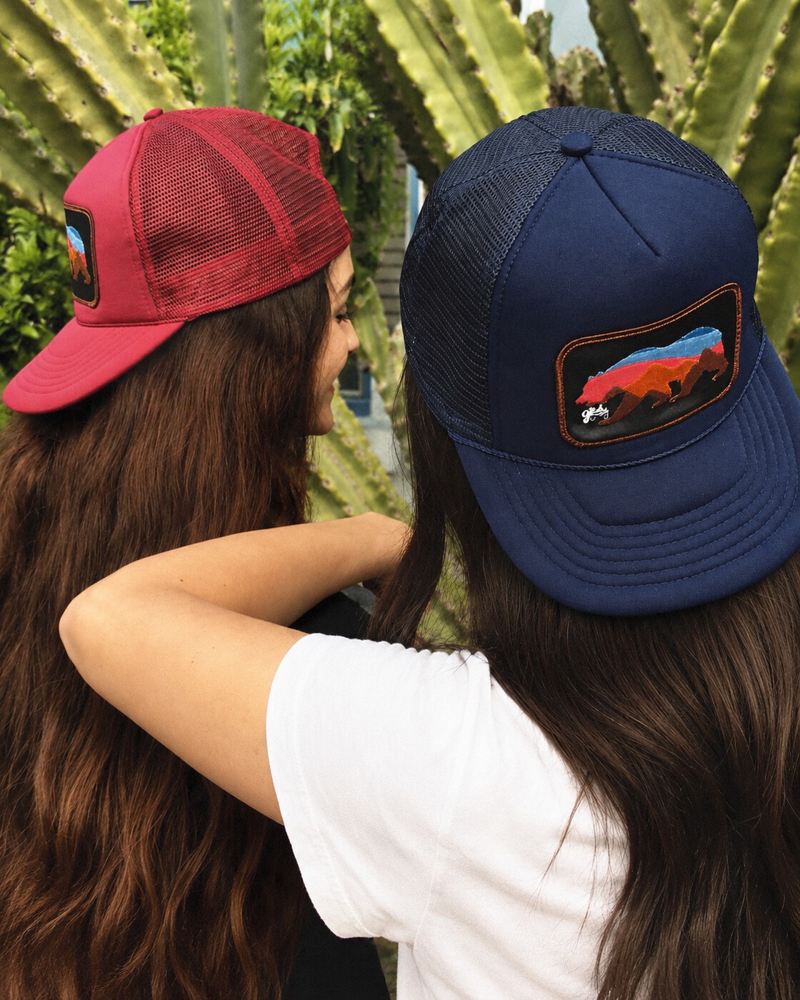 Two hats among cactus plants